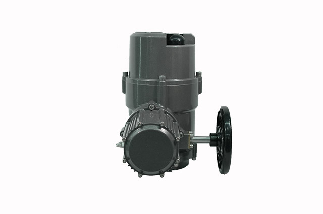 EQ系列智能一體化開關(guān)型+PROFIBUS